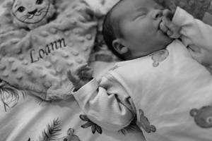 Noémy SMECICAS - SMECICAS NOEMY